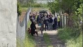 Sbranato dai pitbull della vicina