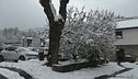 Torna il freddo, neve ad aprile