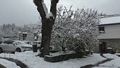 Torna il freddo, neve ad aprile