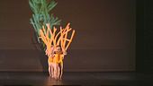 I Momix in scena a Milano
