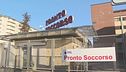 Un altro bimbo ucciso da un pitbull