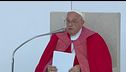Guerra di Gaza, il Papa: "Un abbraccio per la pace"