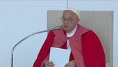 Guerra di Gaza, il Papa: "Un abbraccio per la pace"
