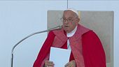 Guerra di Gaza, il Papa: "Un abbraccio per la pace"