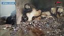 Traffico di rifiuti, 9 arresti