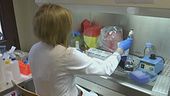 Allarme dengue anche in Italia