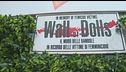 10 anni della ONLUS Wall of Dolls