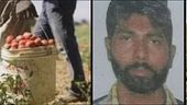 Lasciò morire Satnam, arrestato