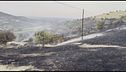 I vigili del fuoco morti da eroi