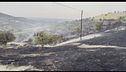 I vigili del fuoco morti da eroi