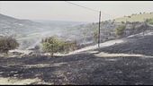 I vigili del fuoco morti da eroi