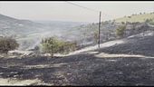 I vigili del fuoco morti da eroi