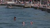 L'Adriatico bolle, toccati 30 gradi