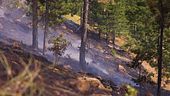 Caldo torrido e incendi al sud