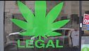 Stretta sulla cannabis light