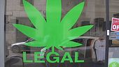 Stretta sulla cannabis light