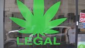 Stretta sulla cannabis light