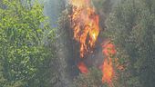 Italia in fiamme, Sicilia a secco