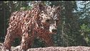 Bufera anche sull'orso di legno