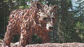 Bufera anche sull'orso di legno