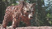 Bufera anche sull'orso di legno