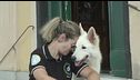 Va al cane Giulio il premio fedeltà