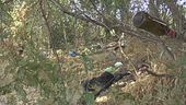 Serpenti e topi, la giungla di Roma
