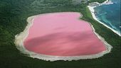 Laghi rosa, belli ma malati