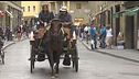 Cavallo stramazza, è polemica