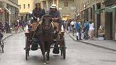 Cavallo stramazza, è polemica