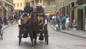 Cavallo stramazza, è polemica