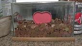 Raccolta di monetine per il "cuore"