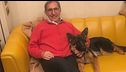 Il Senato apre a cani e gatti
