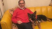 Il Senato apre a cani e gatti