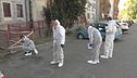 Ris a Crotone, la verità nei video