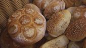 Dacci oggi il nostro pane…