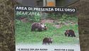 Cerca funghi, aggredito dall'orso