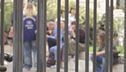 Disagio e social, "Basta violenza"