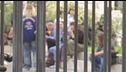 Disagio e social, "Basta violenza"
