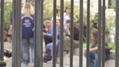 Disagio e social, "Basta violenza"
