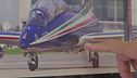 Freccia precipitata, fu bird strike