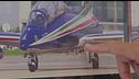 Freccia precipitata, fu bird strike