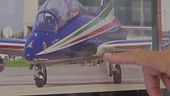 Freccia precipitata, fu bird strike