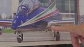 Freccia precipitata, fu bird strike