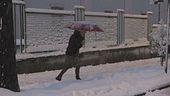 Bufera artica, neve anche in pianura