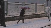 Bufera artica, neve anche in pianura