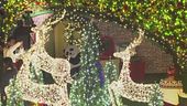 Luci e addobbi, è già Natale