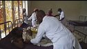 Virus sconosciuto, allarme in Congo