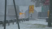 Gelo artico, neve e vento