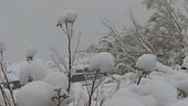 Gelo e neve, torna l'allerta meteo